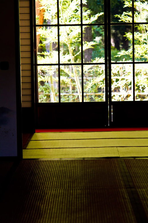 格子戸の向こうに緑が見える和室とガラス窓