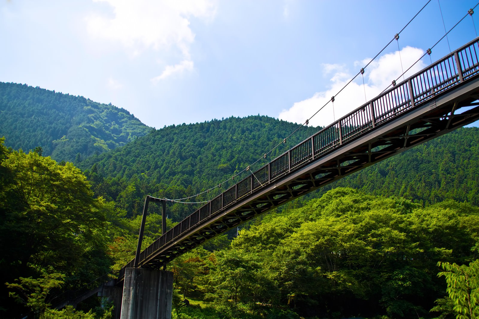 森林の谷間に架かる夏の山の吊り橋