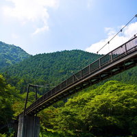 森林の谷間に架かる夏の山の吊り橋の写真
