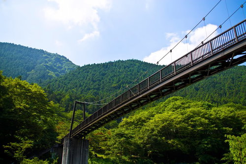森林の谷間に架かる夏の山の吊り橋
