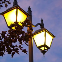夕暮れの空に灯る枯葉と街灯の写真