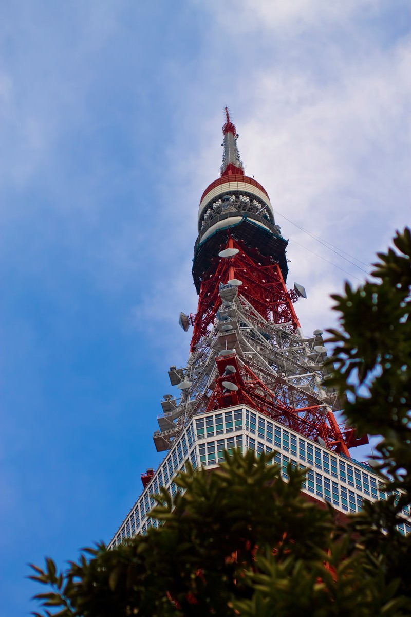 緑越しに見上げた東京タワー