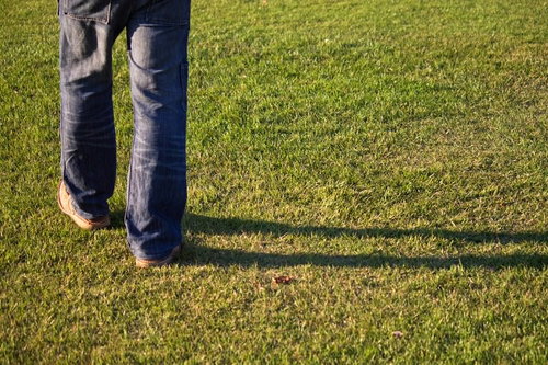 秋の芝生に伸びる足元の影