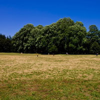 人が散らばる晴れた日の広い草地の公園と青空の写真