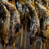 串に刺された塩がついた鮎の塩焼きの写真
