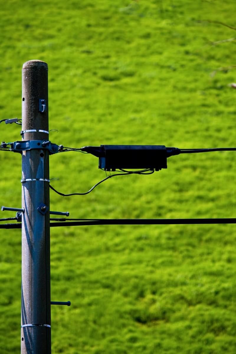 緑の草地を背景にした電柱の配線