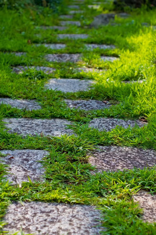 緑の草の間に並ぶ灰色の飛び石と玄関前の踏石