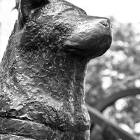 下から見上げたモノクロのハチ公像の石像の写真