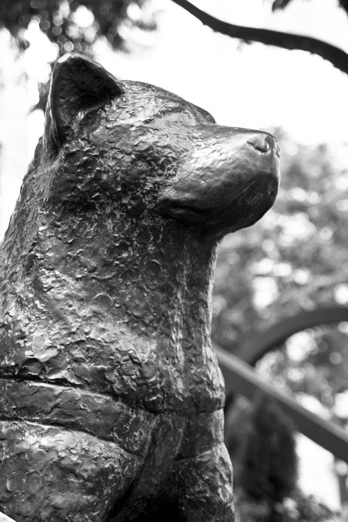 下から見上げたモノクロのハチ公像の石像