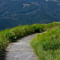 山々が連なる風景の中を曲がりながら続く小道の写真