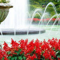 赤い花が手前に咲く噴水のある庭園の写真