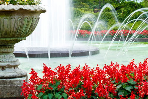 赤い花が手前に咲く噴水のある庭園