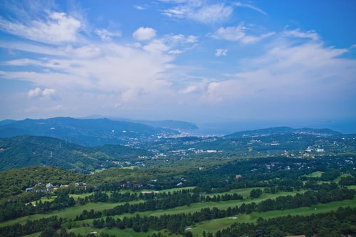 緑の森と建物が広がる大室山からの展望風景