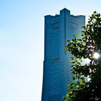 緑の木越しに見上げる沿道のランドマークタワーの写真