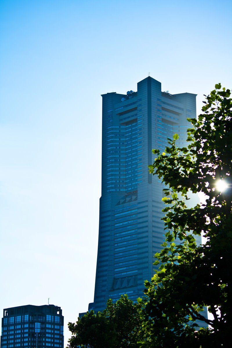 緑の木越しに見上げる沿道のランドマークタワー