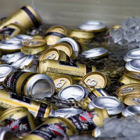 氷の上に散らばる金と銀の缶ビールを冷やす風景の写真