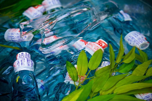 青緑色の水に浮かぶ氷で冷やされたラムネの瓶