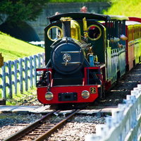 緑の中を走る小さい黒と赤のSL蒸気機関車の写真