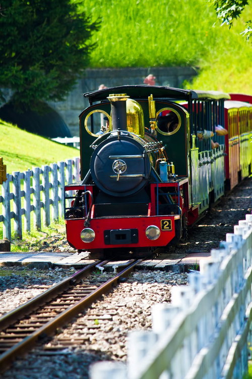 緑の中を走る小さい黒と赤のSL蒸気機関車