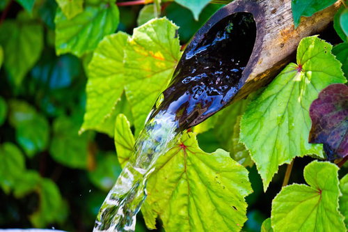 木製の筒から流れ出す湧水と緑の葉
