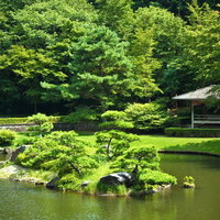 松と岩が配置された小島が浮かぶ日本庭園の池の写真