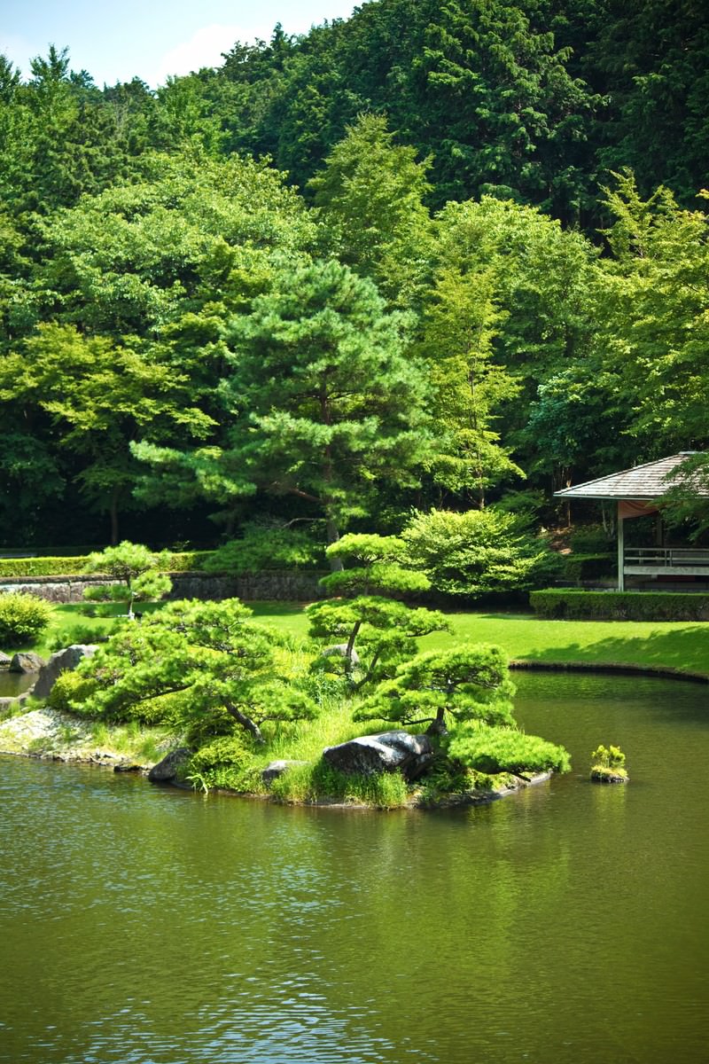 松と岩の小島が浮かぶ日本庭園の池