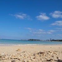 貝殻が散らばる沖縄の白い砂浜と青い海の写真