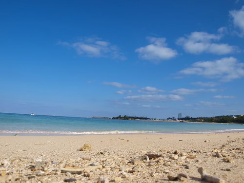 貝殻が散らばる沖縄の白い砂浜と青い海