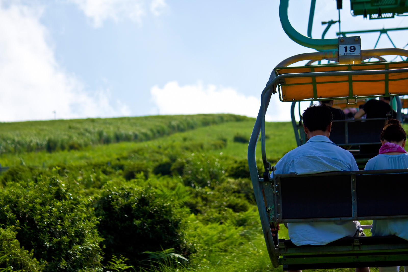 茶畑を背景にリフトに乗る人々