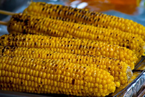 金属トレイに並ぶ焦げ目がついた屋台の焼きとうもろこし
