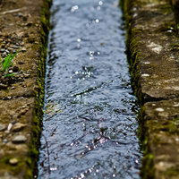 苔が生えた石造りの溝を光が反射して流れる田舎の用水路の写真