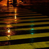 雨に濡れて光る夜の横断歩道の写真