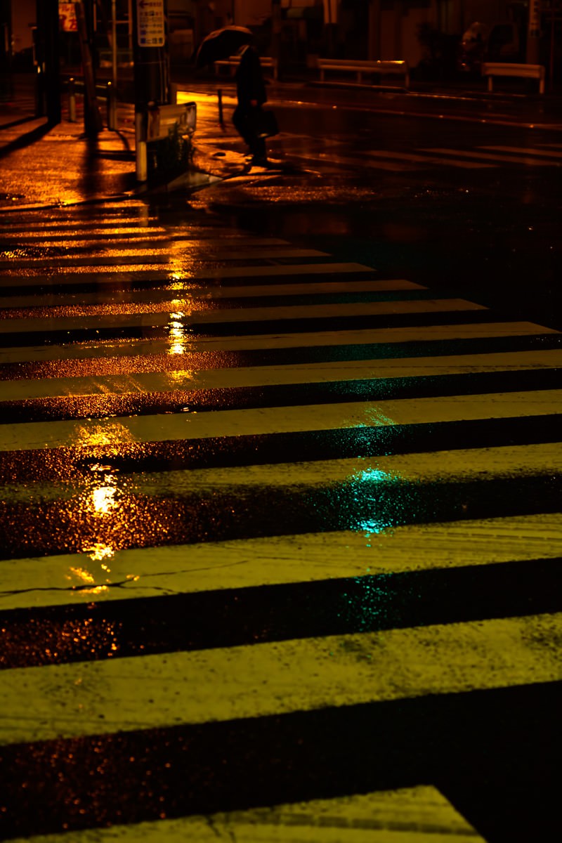 雨に濡れて光る夜の横断歩道