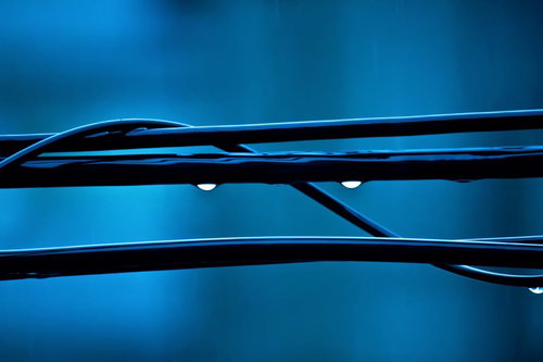 雨水が滴る電線と透明な水滴