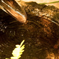 竹の柄杓から石の器に注ぐ水面の波紋の写真