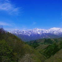 雪を頂いた春のアルプスと緑の山々の写真
