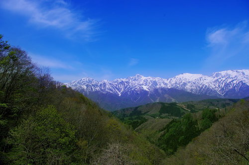 雪を頂いた春のアルプスと緑の山々