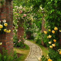 秘密の小径（ローズガーデン）の写真