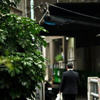 路地を歩く昼下がりのサラリーマンの後ろ姿の写真
