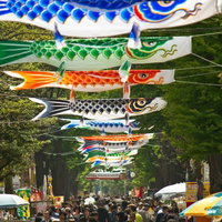 商店街に並ぶ5匹のこいのぼりの写真
