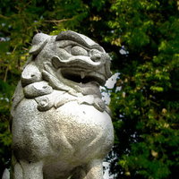 緑に囲まれた神社の狛犬の写真