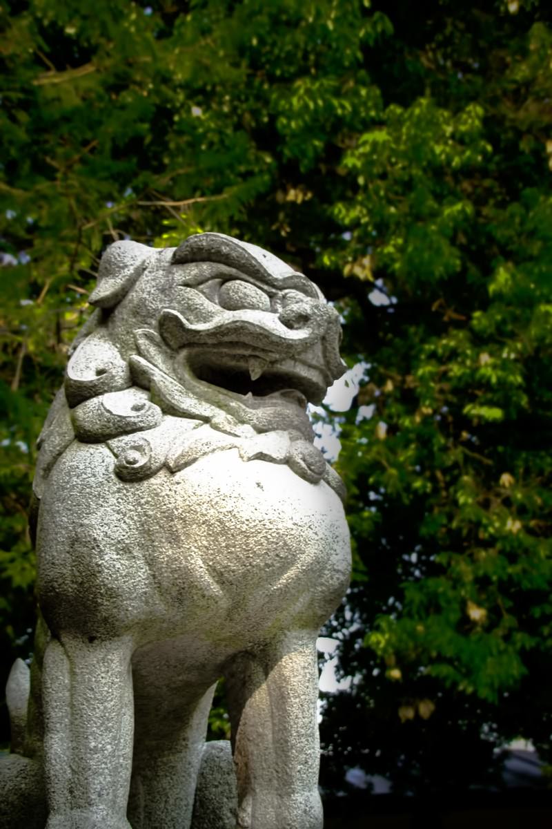 緑の木々を背景に見上げる角度で撮影された神社の石造りの狛犬