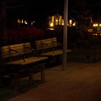 夜間の公園に並ぶ木製ベンチの写真
