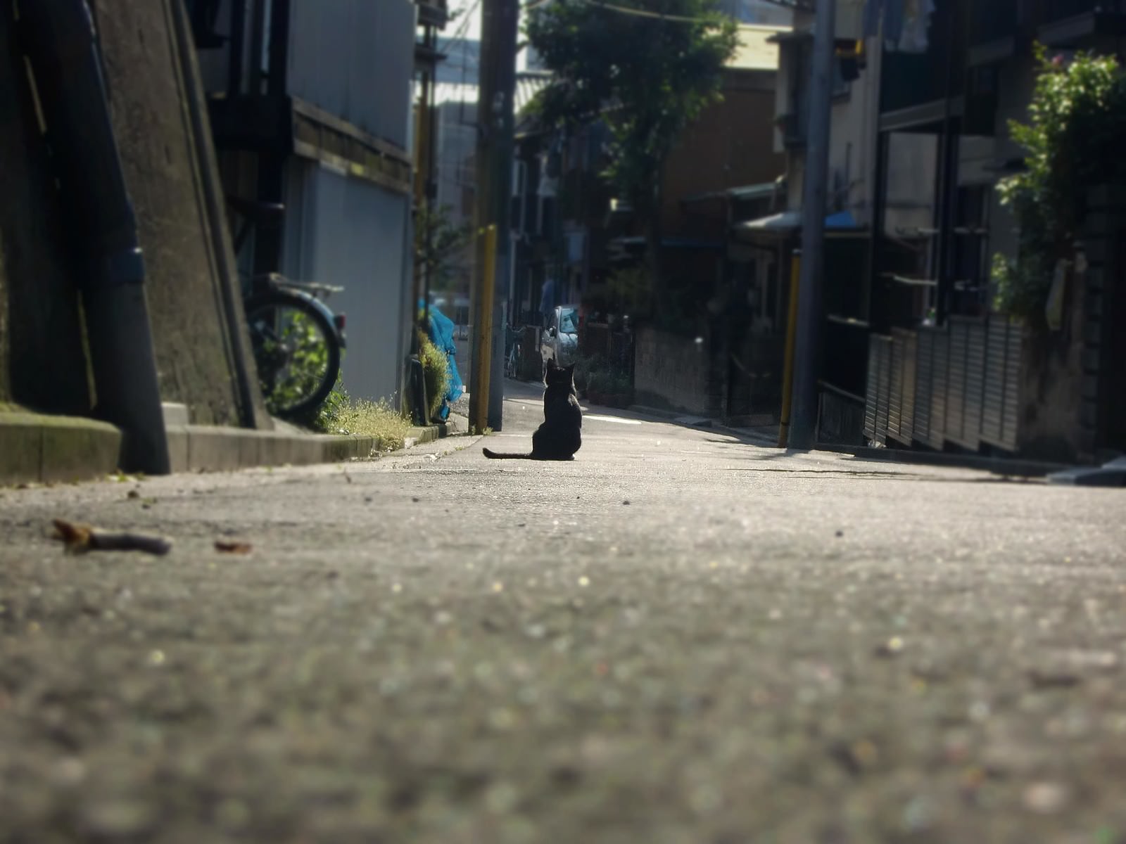 住宅地の坂道を歩く黒い服の人物