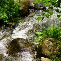 白い水しぶきを上げて流れる森の小川の清流の写真