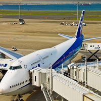 搭乗ゲートに接続されたANAの大型飛行機の写真