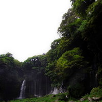 緑の渓谷に流れる白糸の滝の写真