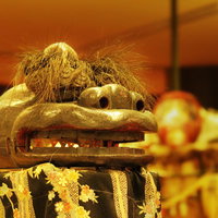 金色の獅子舞と長い毛の写真