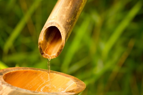 鹿威（ししおどし）から水が流れる竹の器