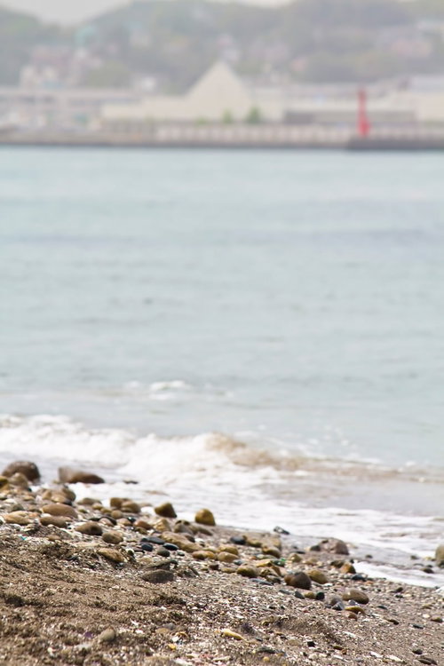 波が打ち寄せる猿島の砂浜と海の遠景